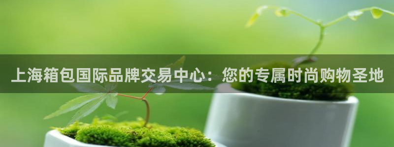 辉达娱乐最新消息新闻