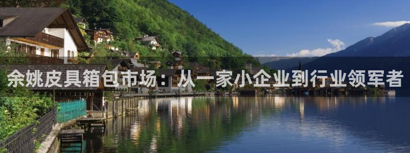 龙腾辉达电子娱乐