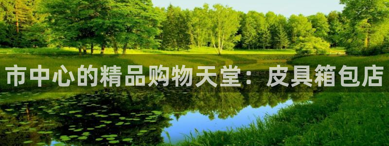辉达娱乐体育竞猜
