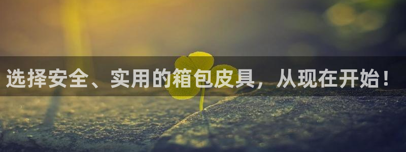 辉达娱乐总部