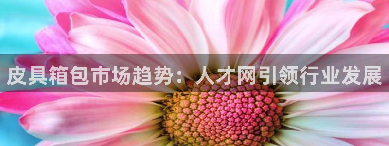 辉达娱乐己39444