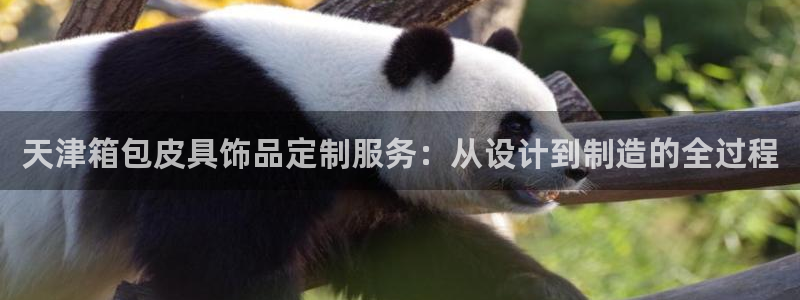 辉达娱乐官方网址