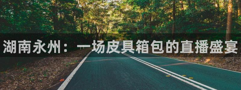 辉达集团官方网站