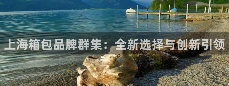 辉达娱乐总部