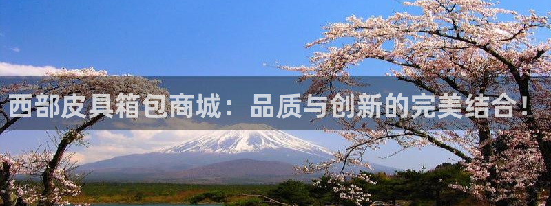 辉达娱乐丿75505