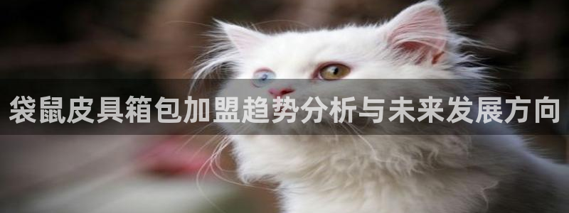 辉达娱乐广东11选5