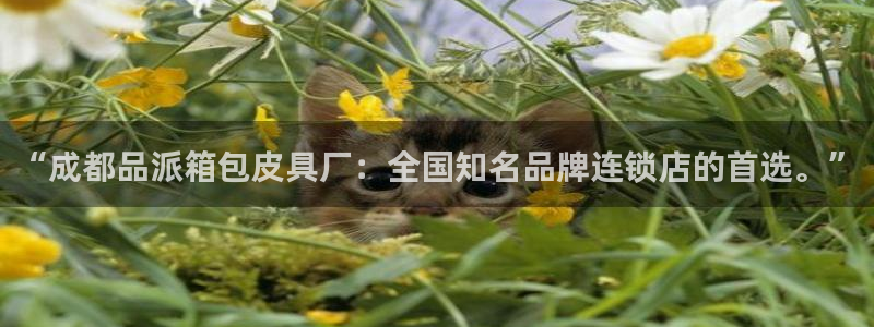 代理辉达娱乐官方网址
