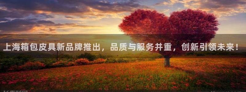 辉达娱乐app