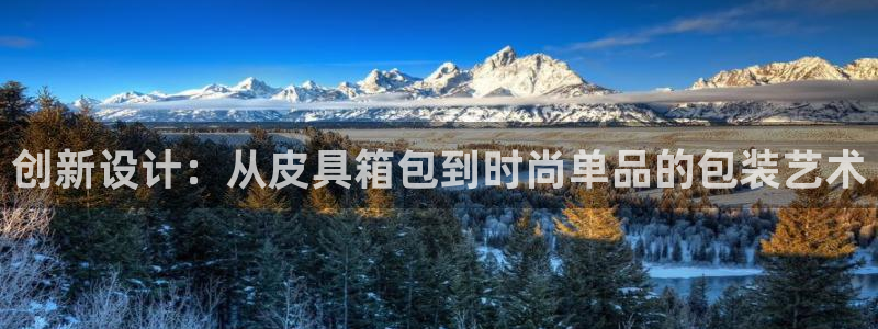 辉达娱乐