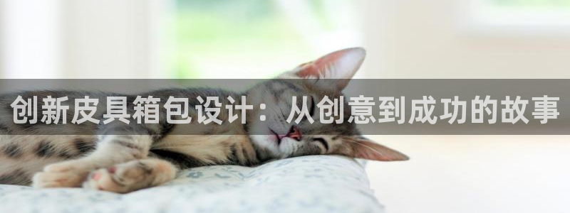 辉达娱乐五39444
