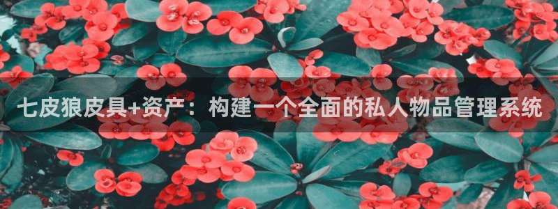 代理辉达娱乐