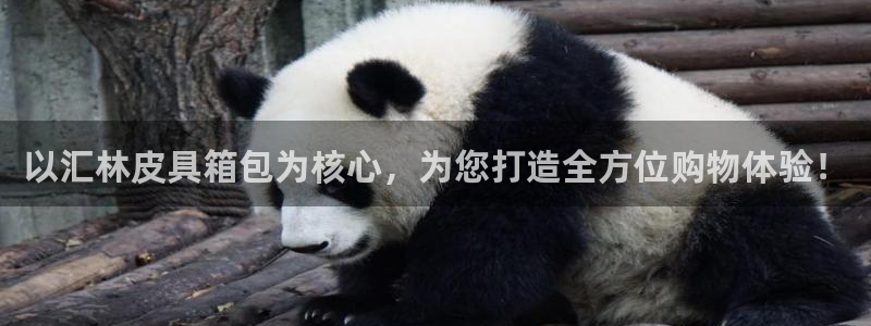 辉达娱乐丿39444