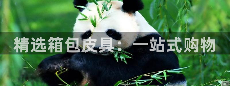专业辉达娱乐在线游戏