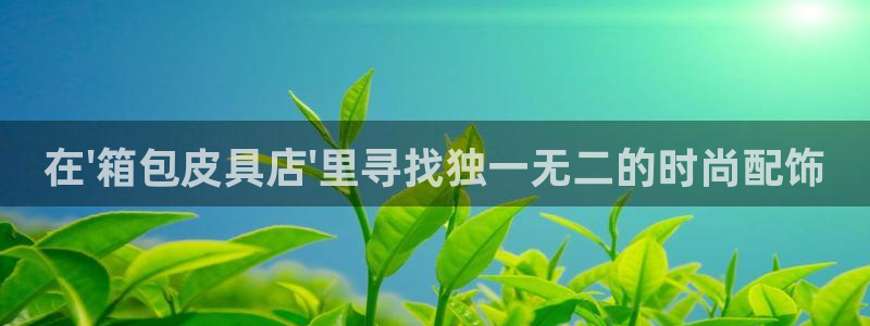 辉达娱乐app