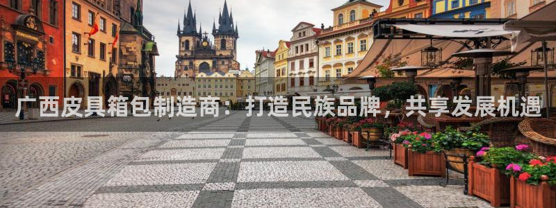 辉达娱乐游戏.直开.中国