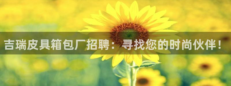 辉达平台注册资金多少