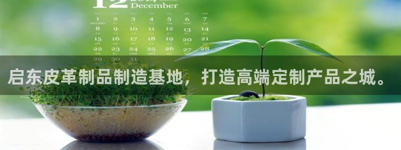 辉达娱乐福彩