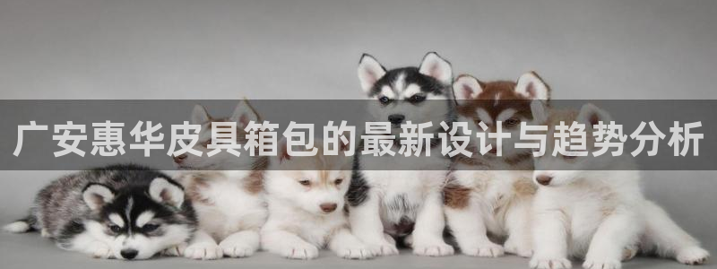 辉达娱乐分红