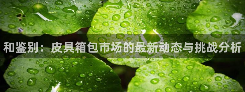 辉达集团官方网站
