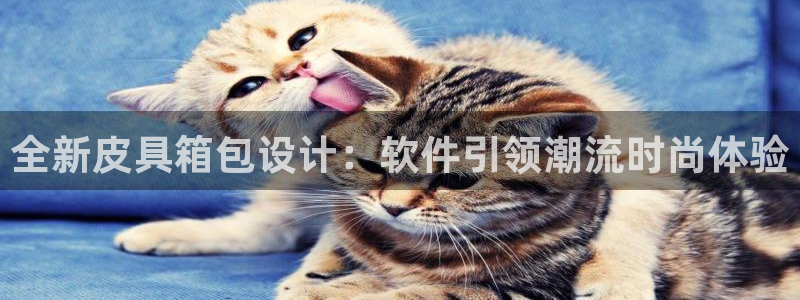 辉达娱乐计划软件