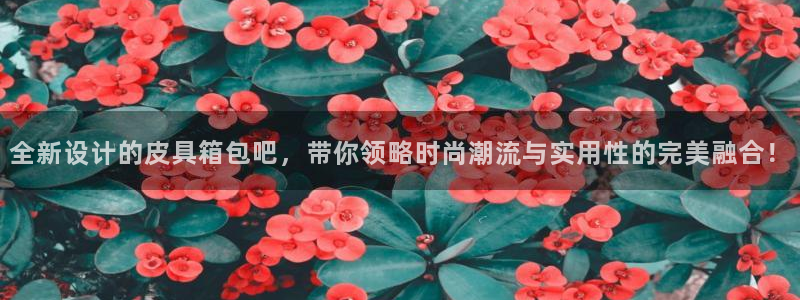 正规辉达娱乐