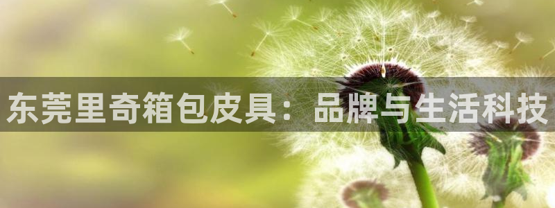 辉达娱乐丨39444