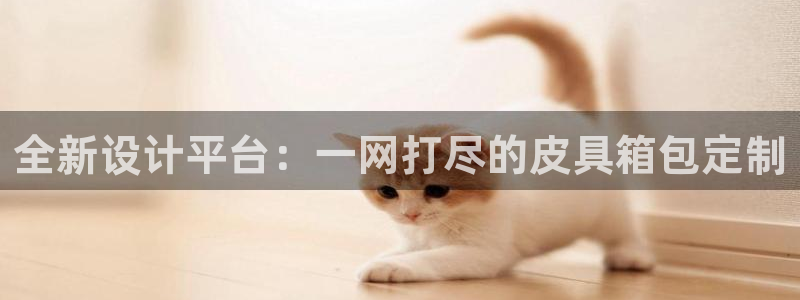 辉达娱乐最新版本更新内容