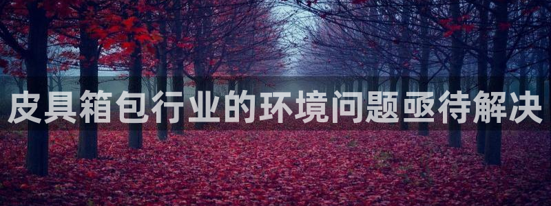 辉达娱乐加q75775