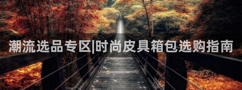 辉达娱乐加q75775