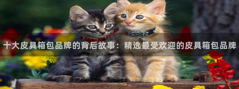 辉达平台官网电话