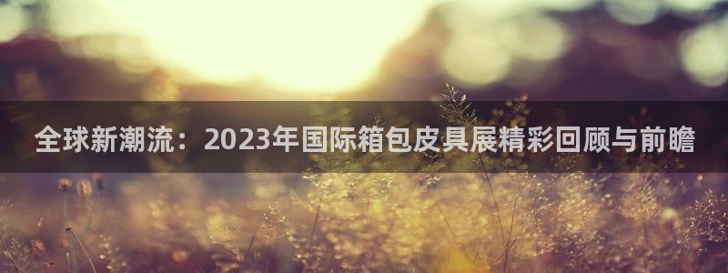 辉达娱乐多少年