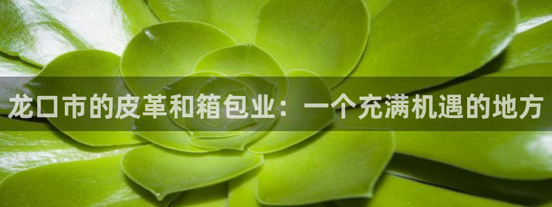 辉达娱乐衤39444