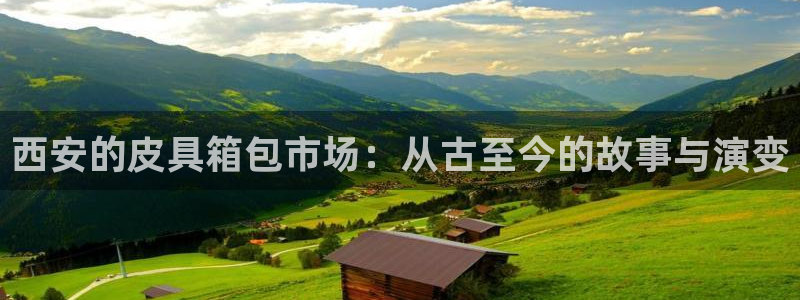 辉达娱乐官方网址