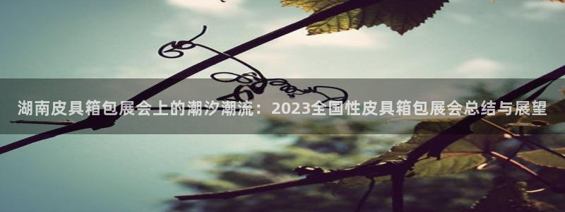 辉达娱乐123123
