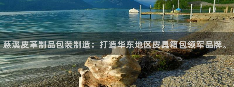 辉达娱乐加扣75775