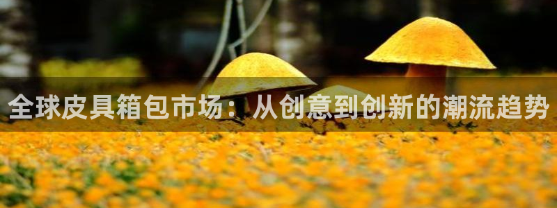 正规辉达娱乐平台