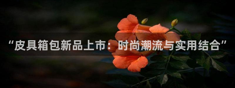 辉达娱乐时时彩平台