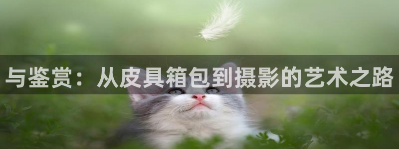 辉达平台注册官方网站入口