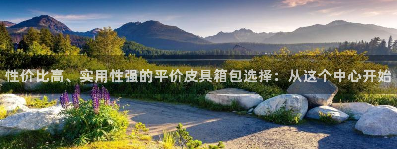 辉达娱乐下载