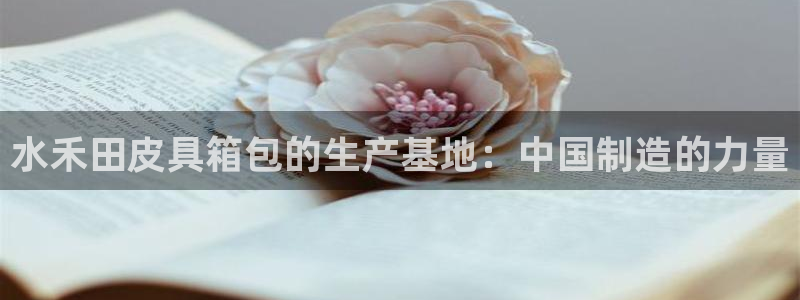 辉达娱乐app