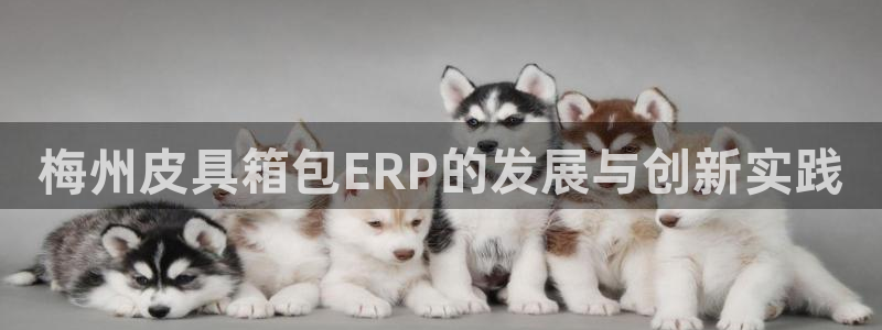 辉达平台官网登录