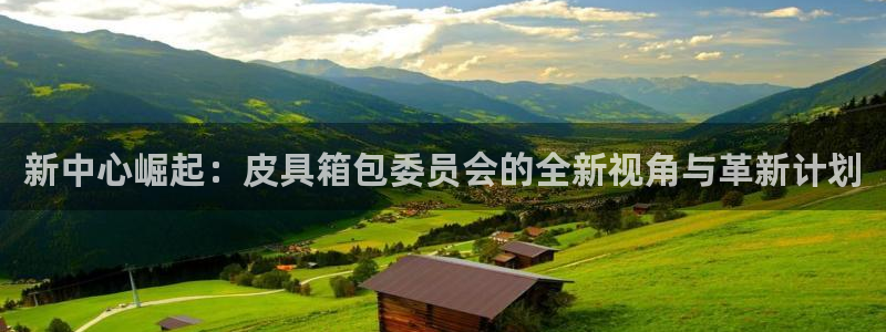 辉达娱乐属于什么档次