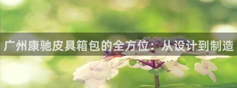 信誉辉达娱乐