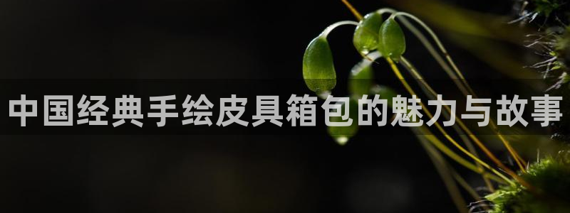 辉达娱乐最新消息新闻