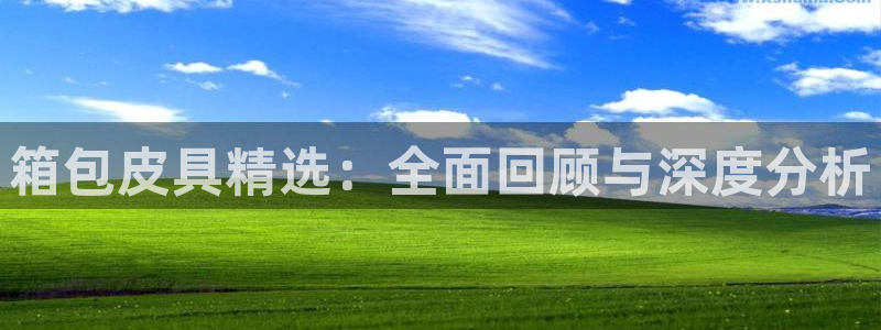 辉达娱乐属于什么档次