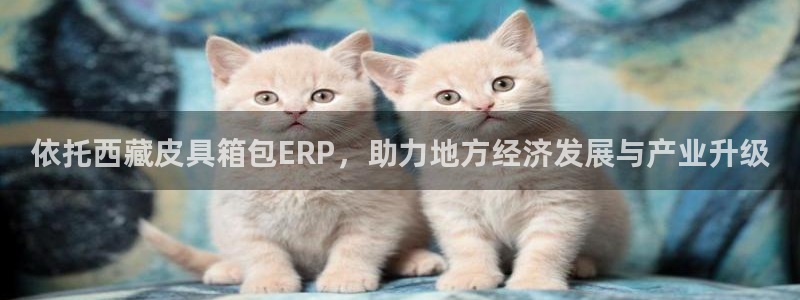 信誉辉达娱乐在线游戏