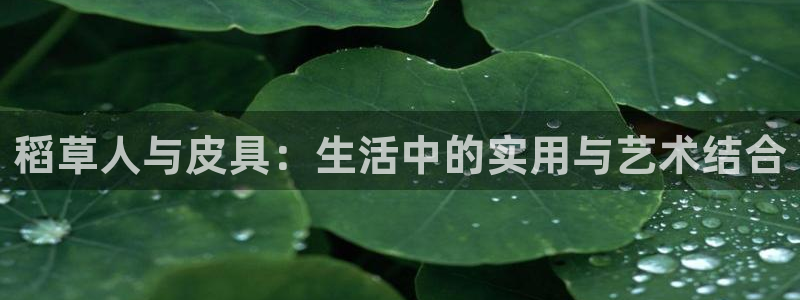辉达娱乐app