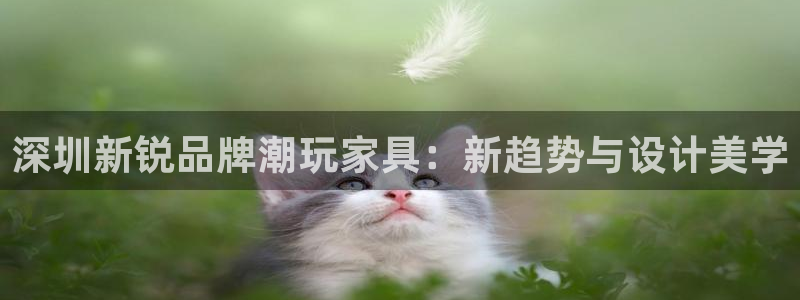 辉达平台娱乐怎么样