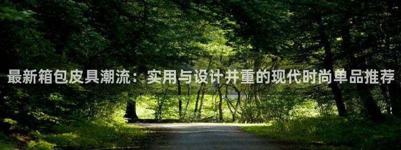 辉达娱乐公司