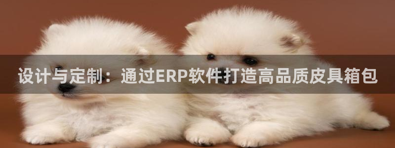 辉达娱乐最新版本更新内容